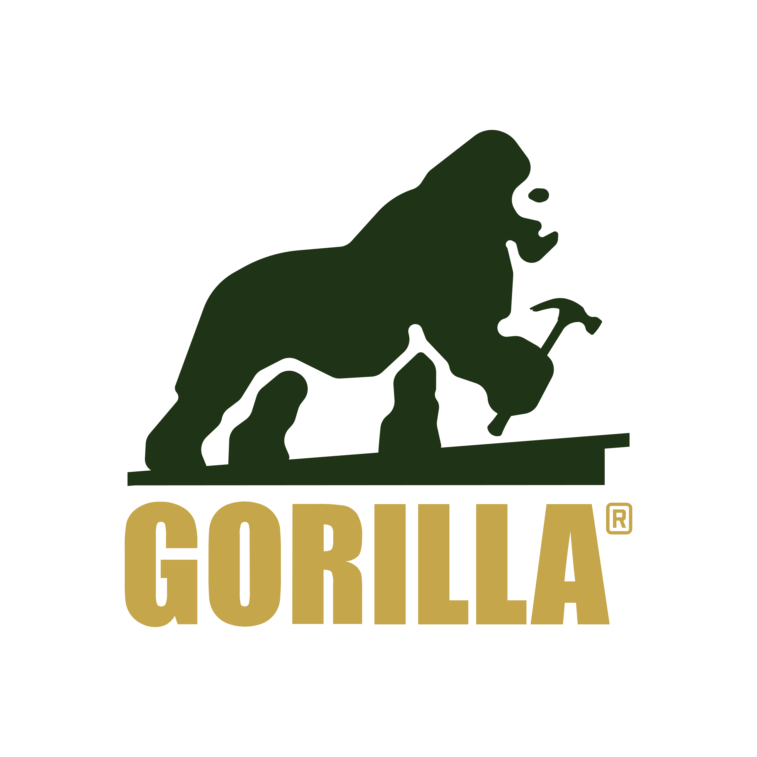 Gorilla Roofing & Construction